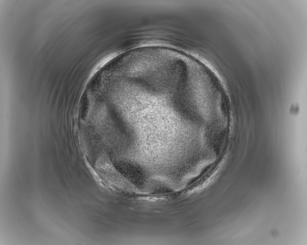 X0000094821145200711301624