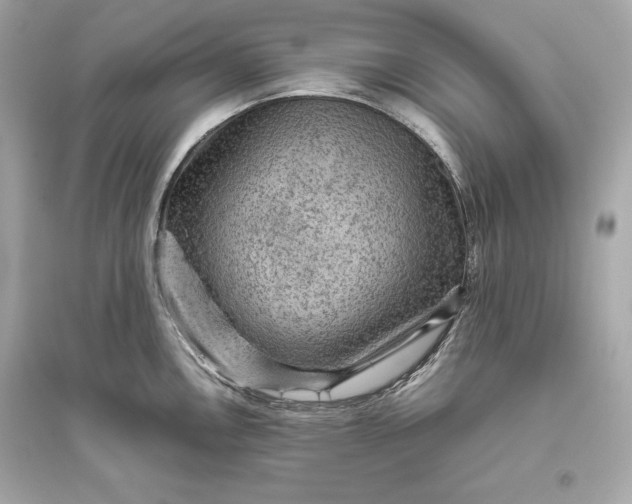 X0000094821146200711301624