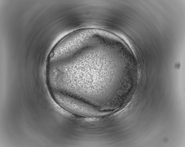 X0000094821147200711301624