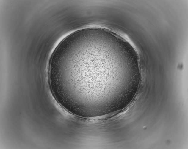 X0000094821148200711301624