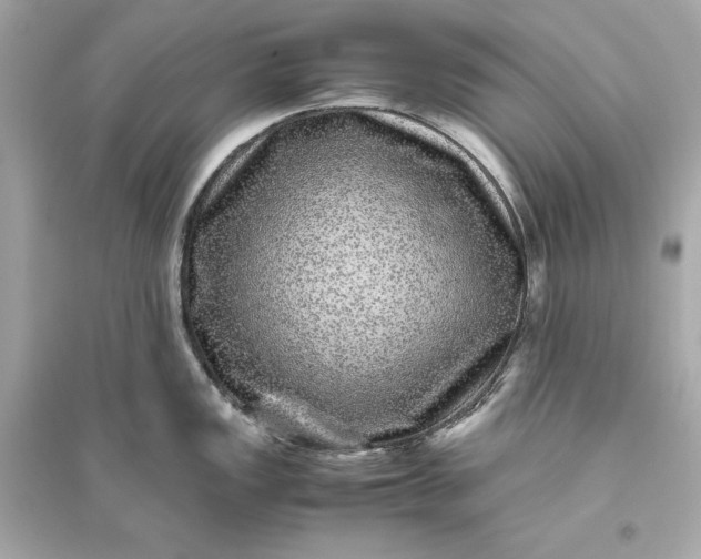 X0000094821149200711301624