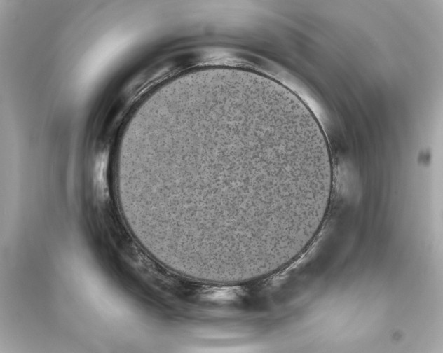 X0000094821150200711301624