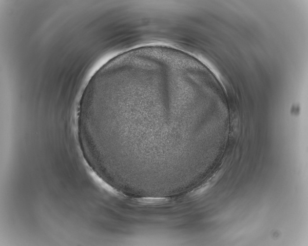 X0000094821151200711301624