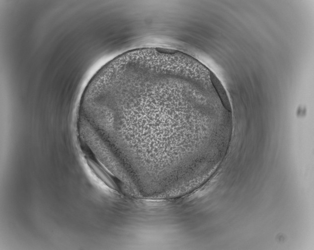 X0000094821152200711301624