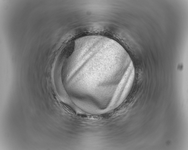 X0000094821153200711301623