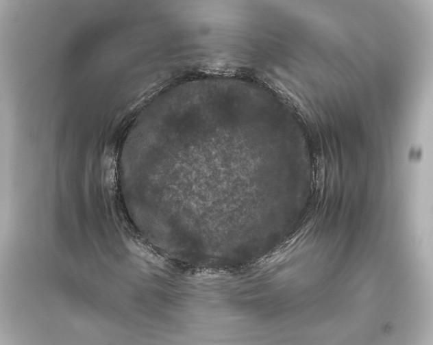 X0000094821154200711301623