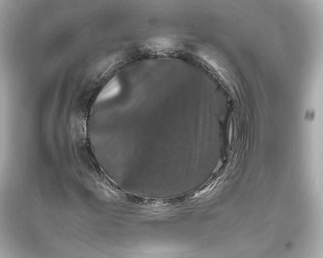 X0000094821155200711301623