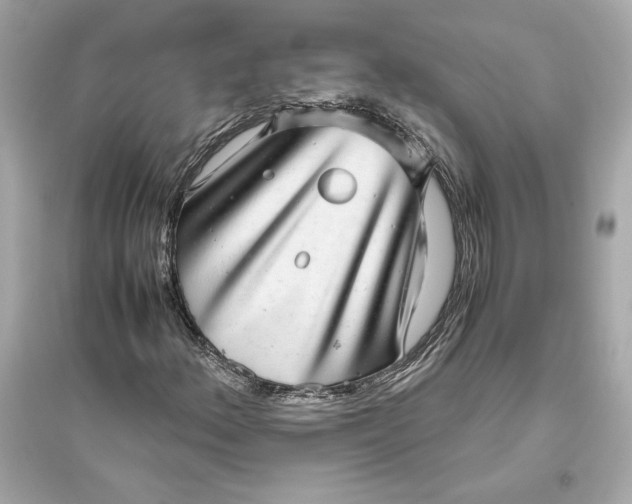 X0000094821156200711301623