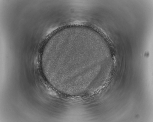 X0000094821158200711301623