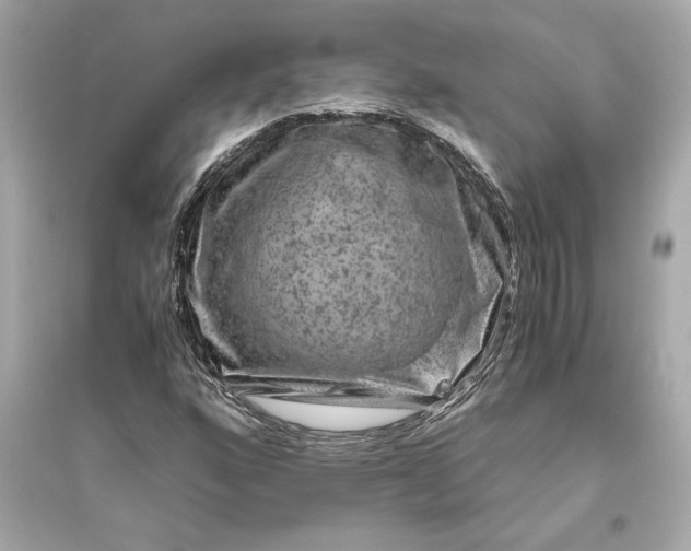 X0000094821160200711301623