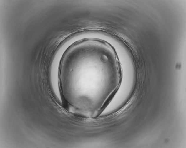 X0000094821161200711301623