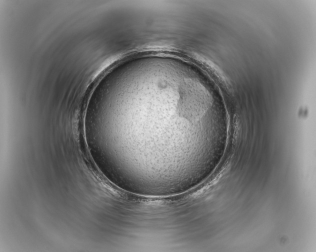 X0000094821162200711301623