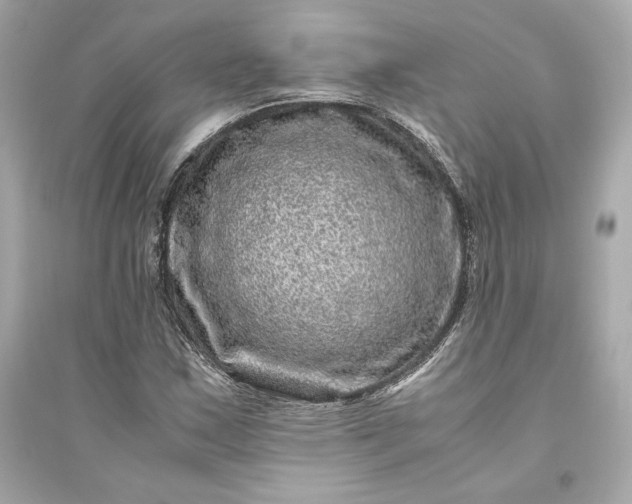 X0000094821163200711301623