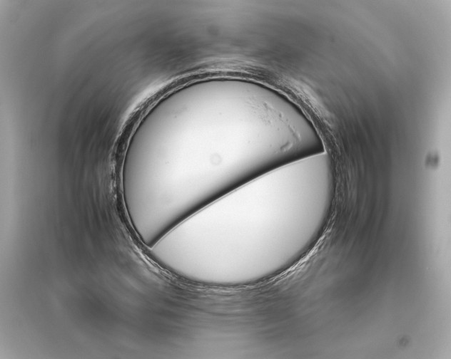 X0000094821164200711301623