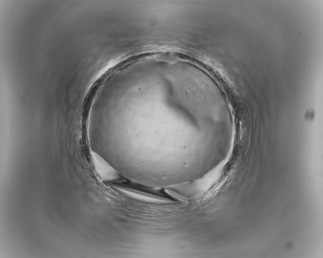 X0000094821165200711301623