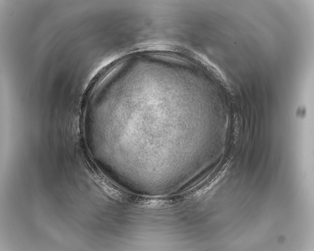 X0000094821166200711301623