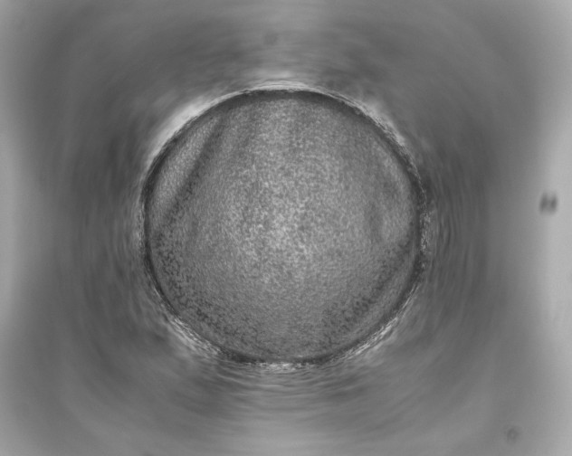 X0000094821167200711301623