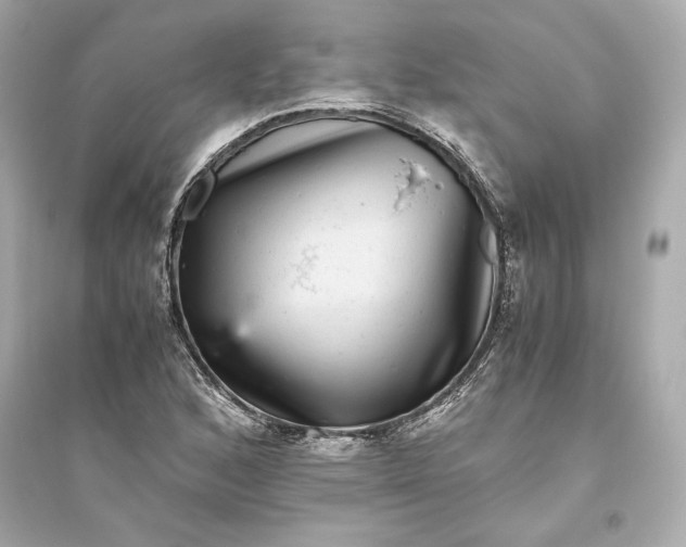 X0000094821168200711301623