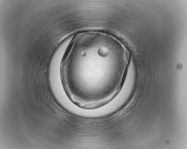 X0000094821169200711301623