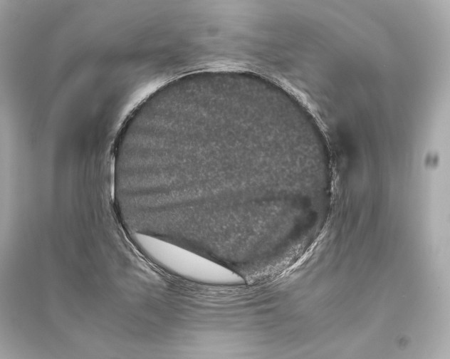 X0000094821171200711301623