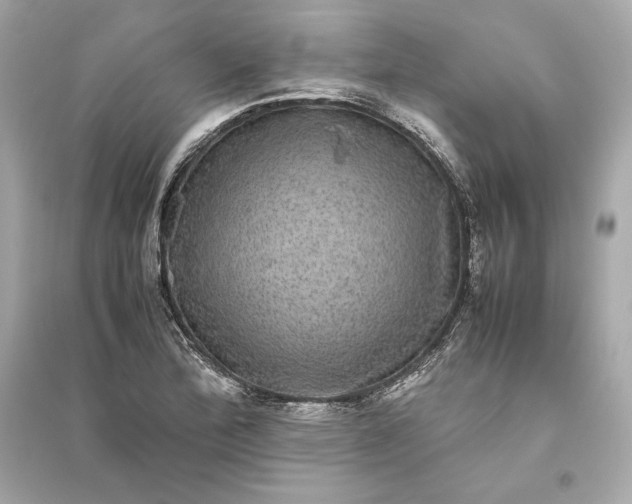 X0000094821172200711301623