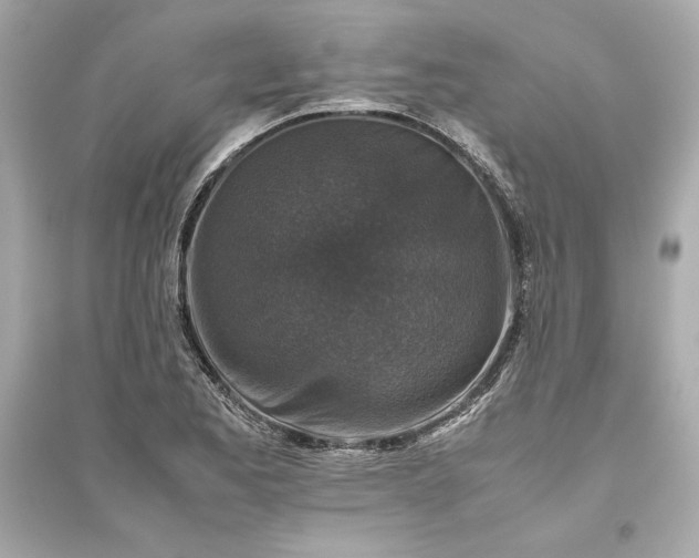 X0000094821173200711301623