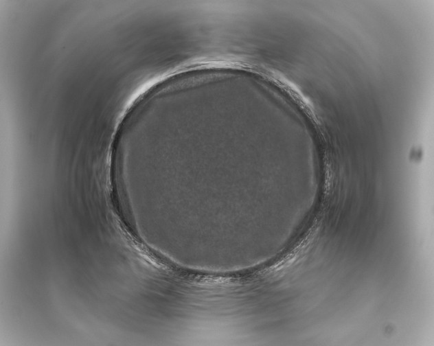 X0000094821174200711301623