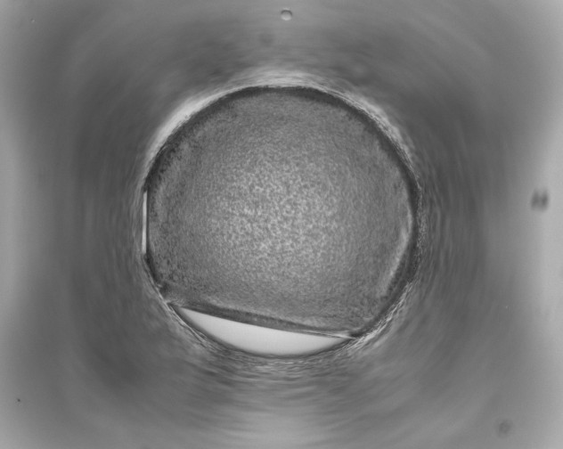 X0000094821175200711301623