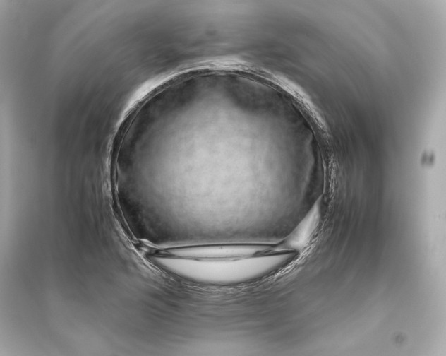 X0000094821176200711301623