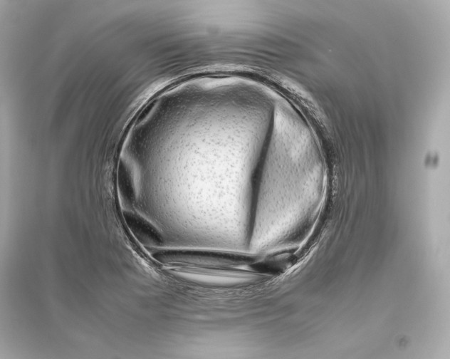 X0000094821177200711301623