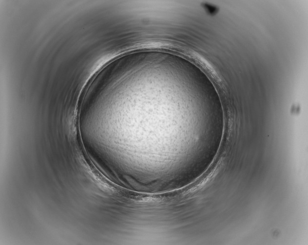 X0000094821178200711301623