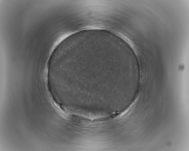 X0000094821179200711301623