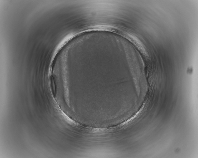 X0000094821180200711301623