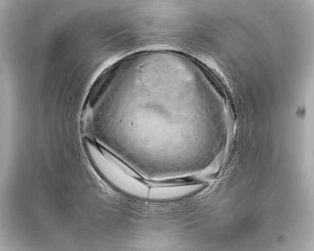 X0000094821181200711301623