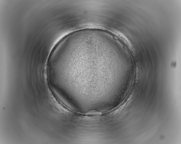 X0000094821182200711301623