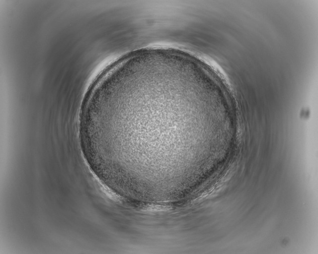 X0000094821183200711301623