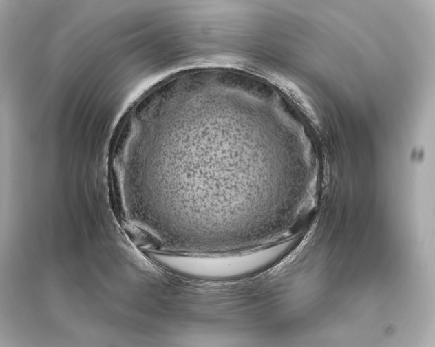 X0000094821184200711301623