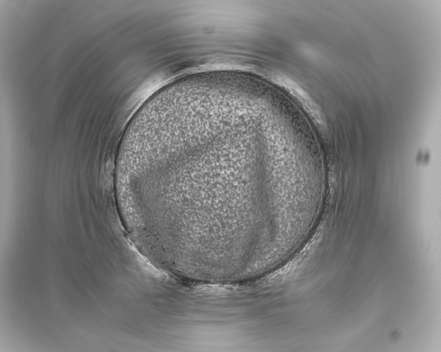 X0000094821185200711301623