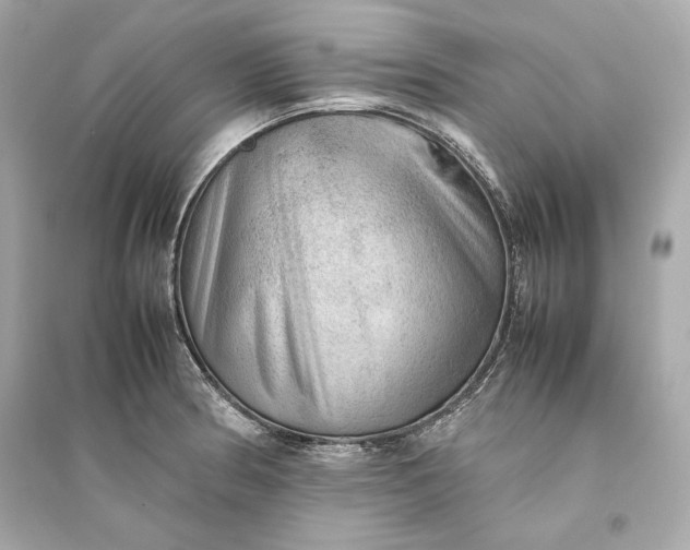 X0000094821186200711301623