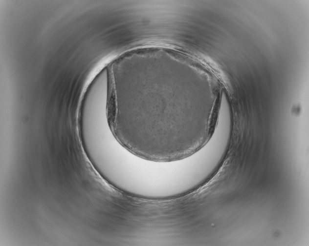 X0000094821188200711301623