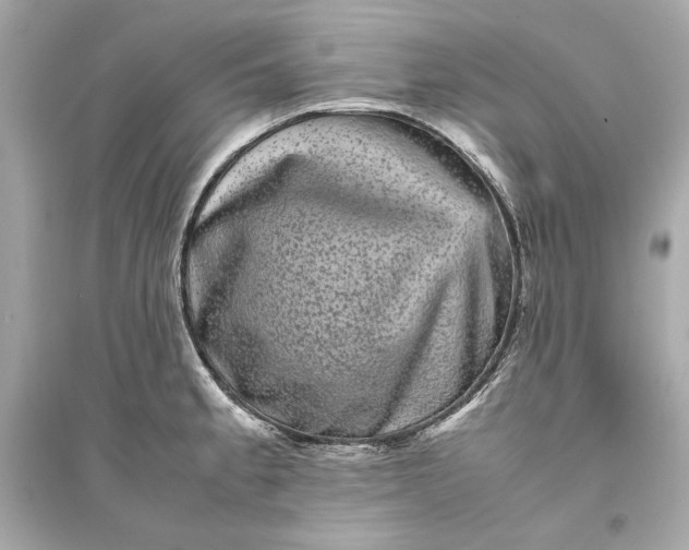 X0000094821189200711301623