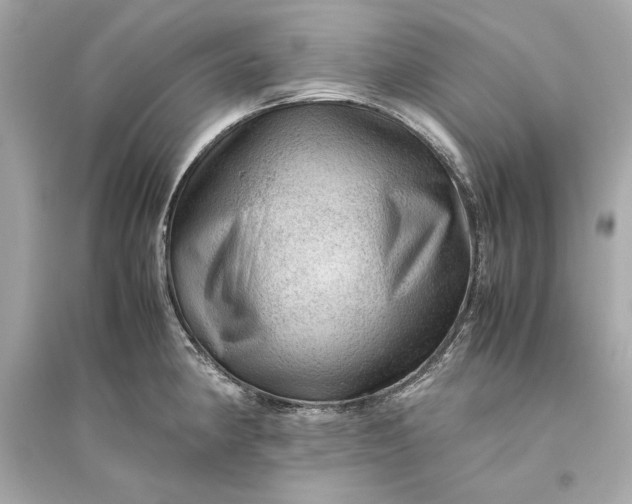 X0000094821190200711301623