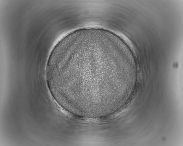 X0000094821191200711301623