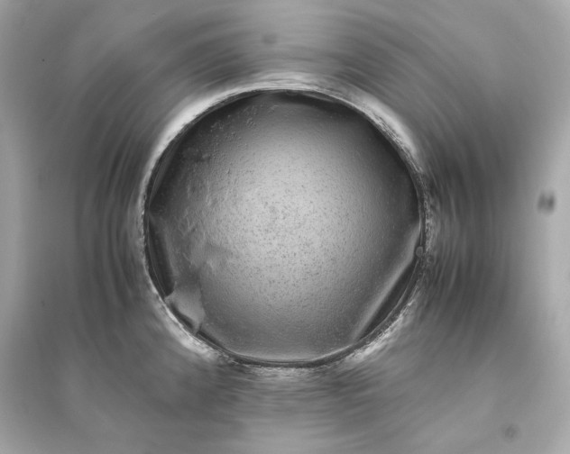 X0000094821192200711301623