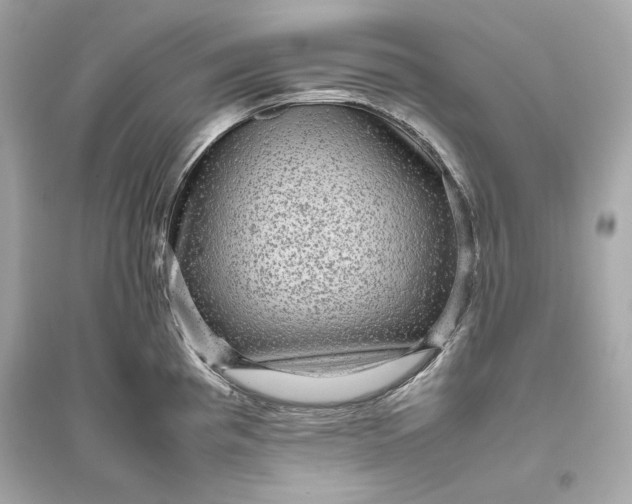 X0000094821193200711301623