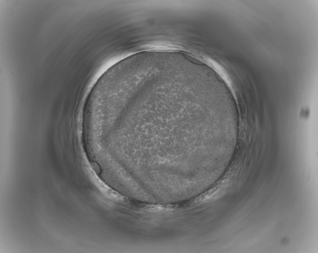 X0000094821195200711301623