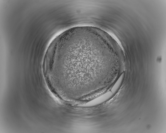 X0000094821197200711301623