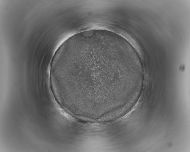 X0000094821198200711301623