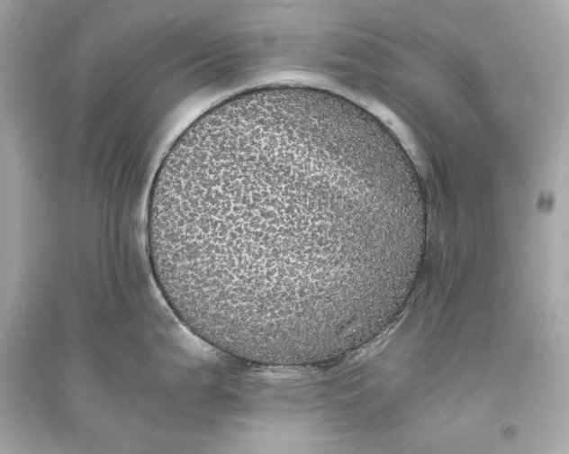 X0000094821199200711301623