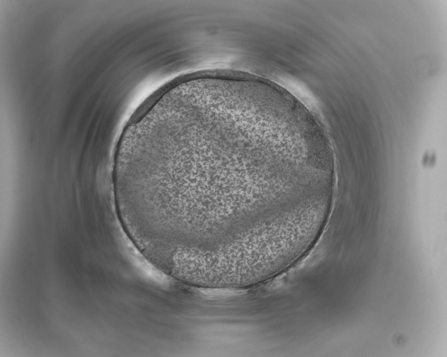 X0000094821200200711301623